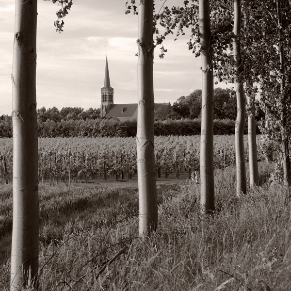Photograph Marco De Groot Prent 14 on One Eyeland